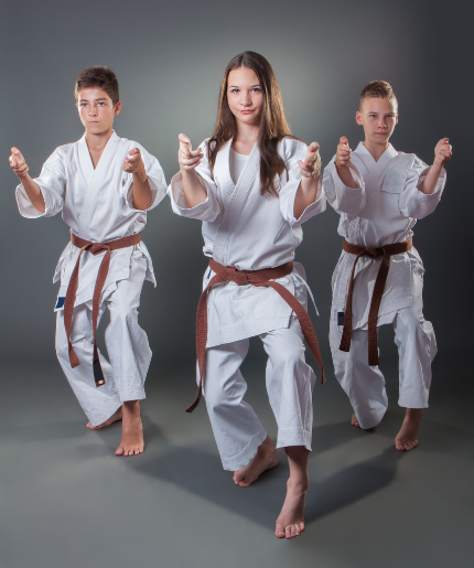 Corso di Karate</br>Ragazzi-Adulti 
