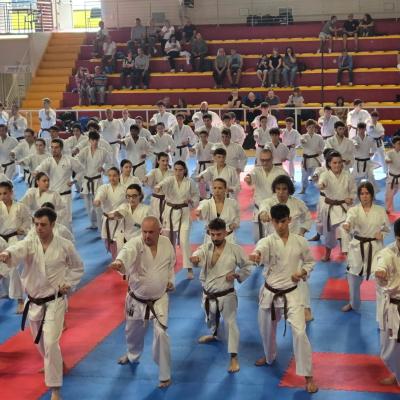 Europa Team Al Propedeutico Regionale Dal 1 Al 5 Dan 11